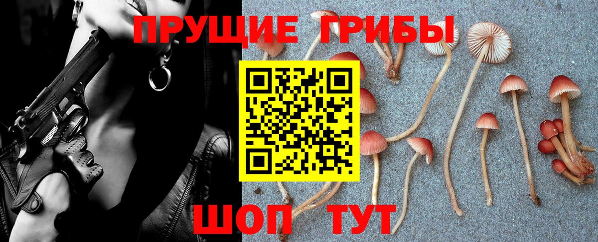 Галлюциногенные грибы Magic Shrooms  Псилоцибиновые грибы Psilocybine cubensis  где продают   Северодвинск  Вход с VPN 
