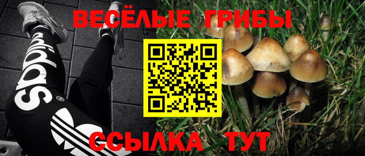 Псилоцибиновые грибы MAGIC MUSHROOMS Северодвинск